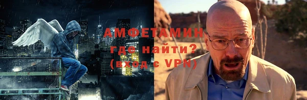 шишки Белокуриха