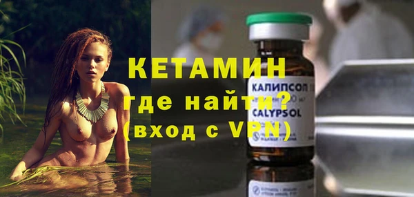 шишки Белокуриха