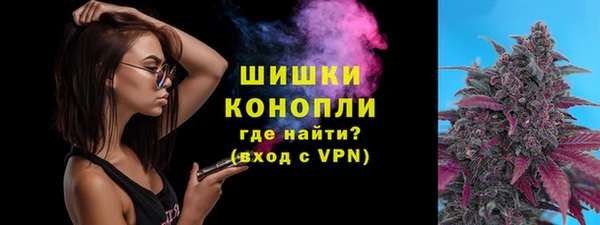 шишки Белокуриха
