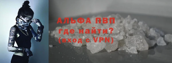 шишки Белокуриха