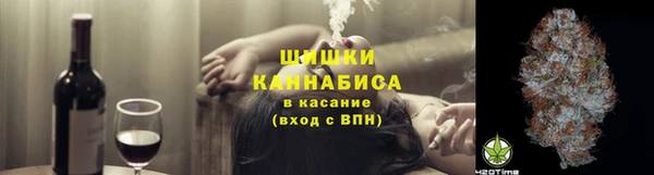 шишки Белокуриха