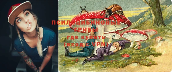 шишки Белокуриха