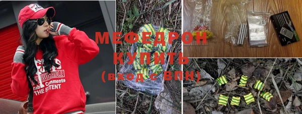 шишки Белокуриха