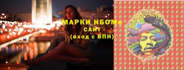 шишки Белокуриха