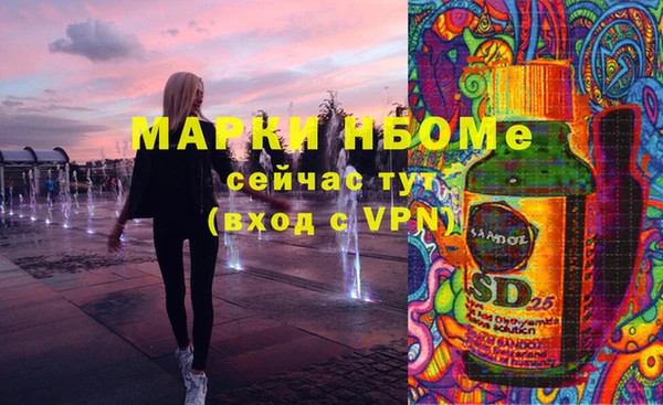 шишки Белокуриха