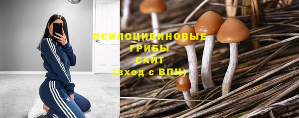 винт Белоозёрский