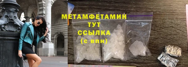 шишки Белокуриха